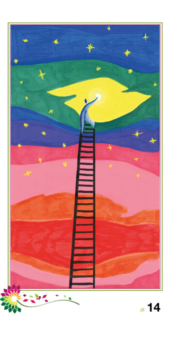Infiorata 2026 - Opere slide web14